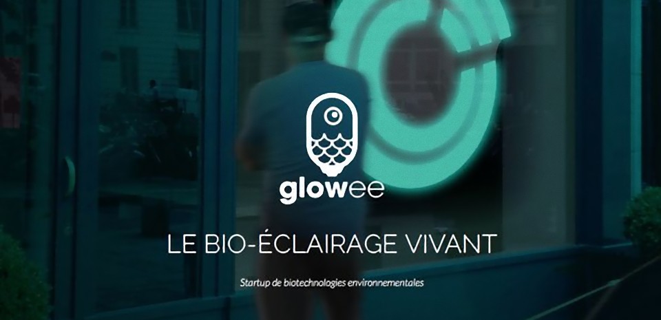 Glowee, le révolutionnaire système d'éclairage
