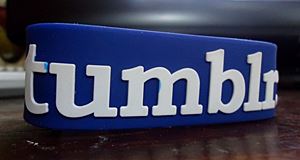 Tumblr, the most popular blog hosting service